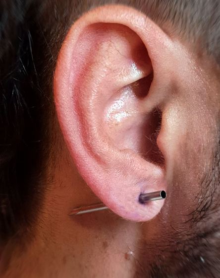 piercing hecho por León · Skunk Body Piercing, Montevideo